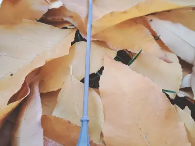 The Catch Genshin Impact 3D print model