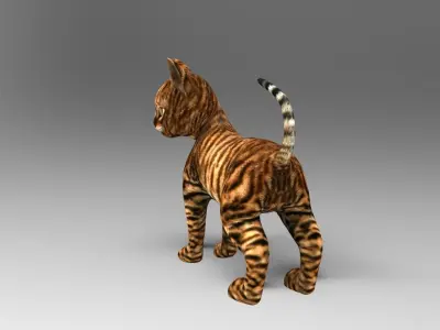 Wild Cute Cat Rigged  Low-poly 3D model purchase