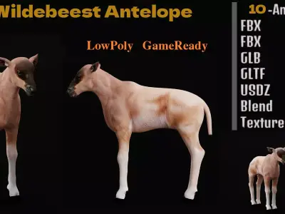 Young Wildebeest Gnu Antelope Low-poly 3D model