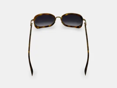 Fernanda Sunglasses in Cognac Tortoise with Polished Gold 3D model