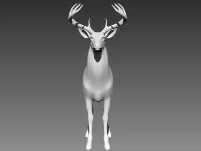Deer base mesh for Zbrush 3D model