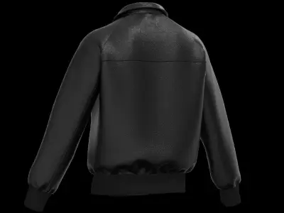Male raglan leather jacket 3D model