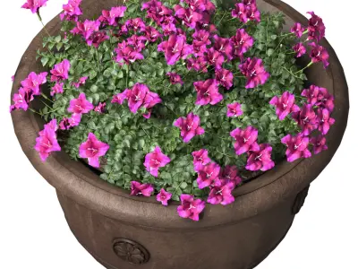 Flowers Garden Plant Flowerpot Patio KINSEY GARDEN DECOR 3D model