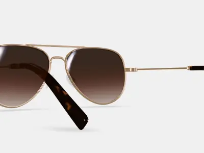 Raider Sunglasses in Polished Gold 3D model