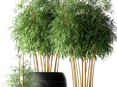 Bamboo plant 3D model