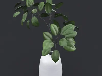 Tree Branch In Vase II 3D model
