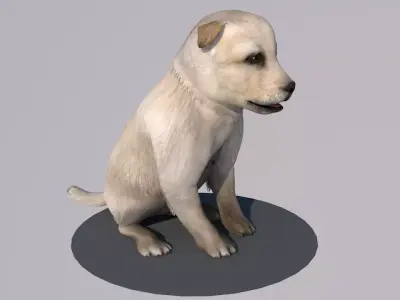 Puppy dog animations Low-poly 3D model