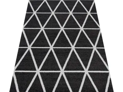 Rug Set 2221 3D model