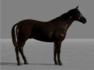 horse v1 Low-poly 3D model