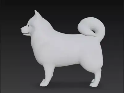 American Eskimo Dog 3D Model 3D model