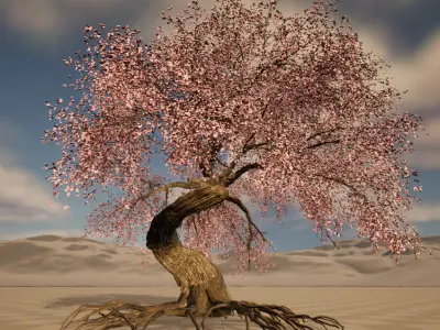 cherry tree Low-poly 3D model