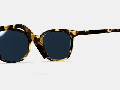 Griffin Sunglasses in Burnt Honeycomb Tortoise 3D model
