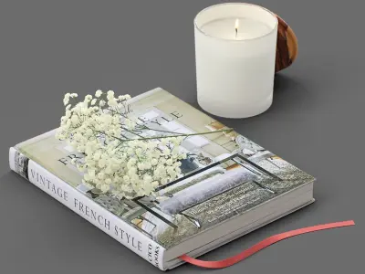 Decor flower Gypsophila books candle Set 45 3D model