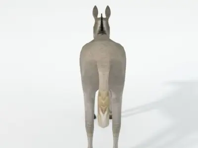 Donkey Low-poly 3D model