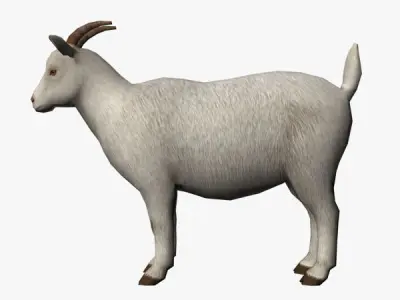 Goat 3D Low-poly 3D model