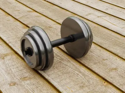 Dumbbell pair of dumbbells 3D model