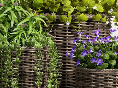 Decorative plant set-45 3D model