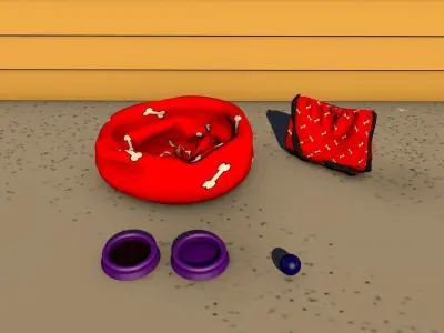 Pet Acessories Low-poly 3D model