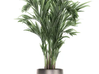 Decorative palm in a flowerpot 693 3D model