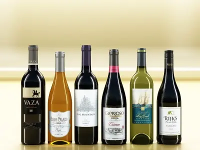 6 Wine Bottles Collection 3D model