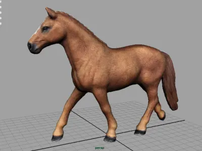 Realistic Horse Low-poly 3D model