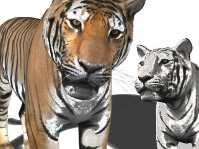 The Ultimate CGI Tiger - no fur 3d model 3D model