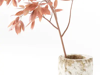 Plants Bouquet 05 3D model