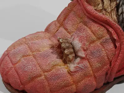 Hedgehog in a Shoe Low-poly 3D model