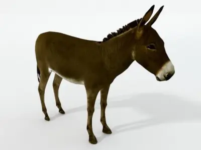 Brown Donkey Low-poly 3D model