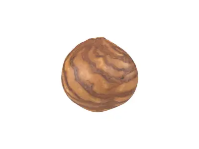 Photorealistic Hazelnut Kernel 3D Scan 2 3D model