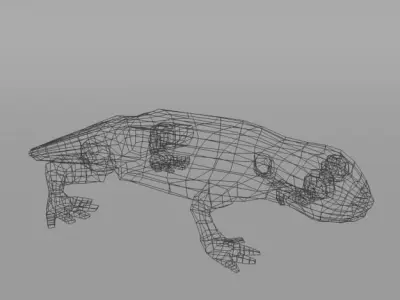 Salamander gecko Low-poly 3D model
