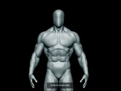 base mesh collection  3D Model Pack