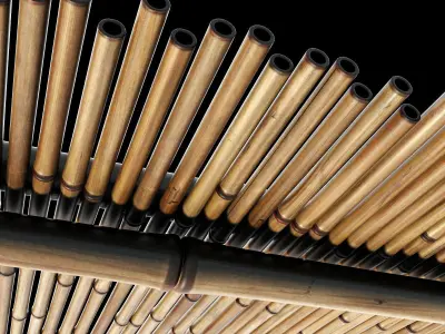 Branch bamboo long low n1 3D model