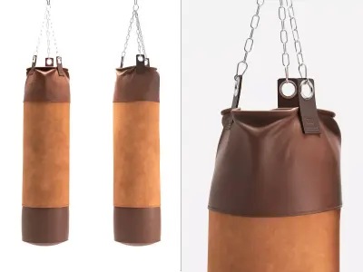 DS 2878 60 Punching Bag 3D model