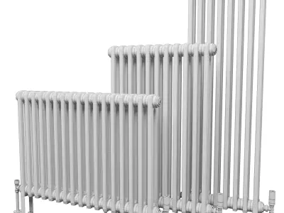 Butler and Rose 2 Column Horizontal Radiator 3D model