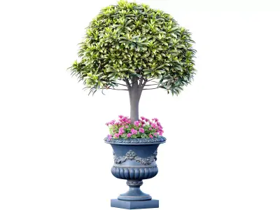 Decorative garden tree shrub in classic luxury  pot vase 3D model