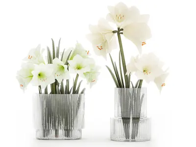 Set Of Bouquets Of White Flowers Hippeastrum Vase 372 3D model