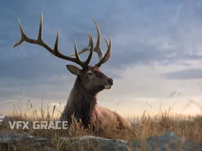 Male Elk Animated VFX Grace 3D model