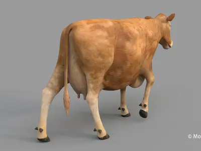 Cow PRO - Limousin 3D model