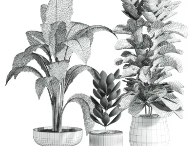 Plants  3D model purchase