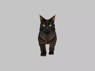 Black Cat 3D Model Low-poly 3D model