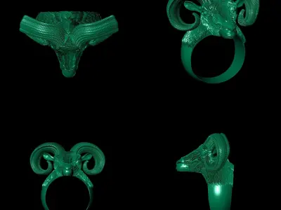 RAM Ring 3D print model