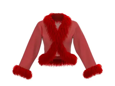 Feather jacket 3D model