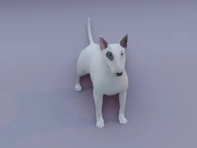 BullTerrier bull terrier 3D model