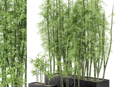  Indoor Plants Bamboo Set in rusty Concrete Pots - Set 7 3D model