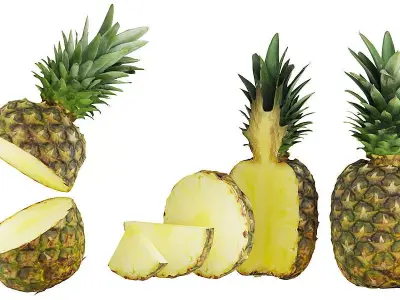 Pineapple BLENDER 3D Model Cycles 3D model