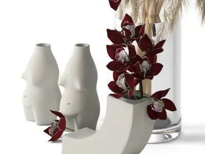 Pampas grass and Cymbidium 3D model