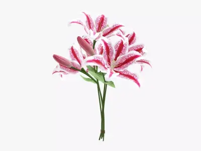 Lily flowers bouquet 3D model