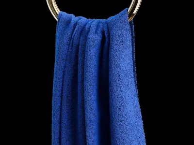 Towel Holder Decor Walther Century Gold with towel Free 3D model