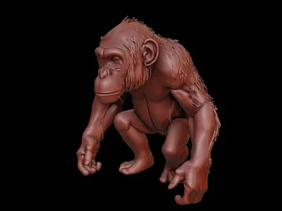 Chimpanzee Animal Sculpture 3D print model